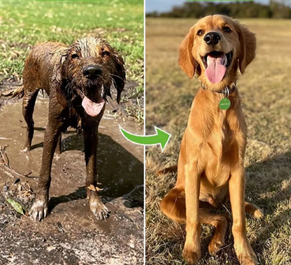 Spruzzatore per Cani con Getto ad Alta Pressione