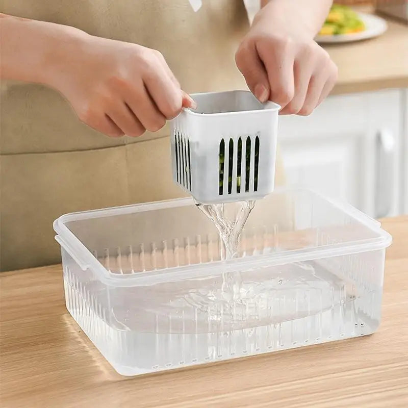 FreshBox  Organizer Frigo