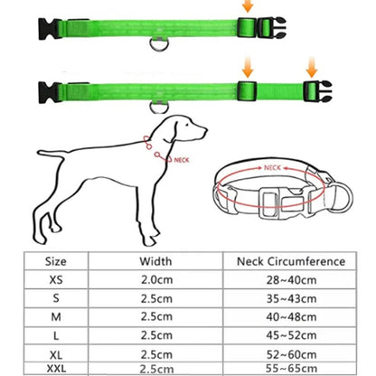 Collare Luminoso a LED